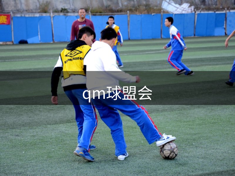 球盟会·QMH(中国)-官方网站